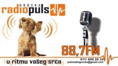 Radio Puls Grocka